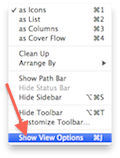 Multiple File Renamer View Options