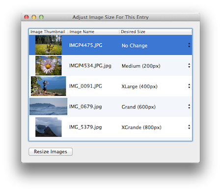 Resize Images In Diary