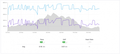 A timestamped file WITHOUT interpolation.  Notice how the blue line (pace) is very erratic.  I used the run-pace setting when time-stamping this file.