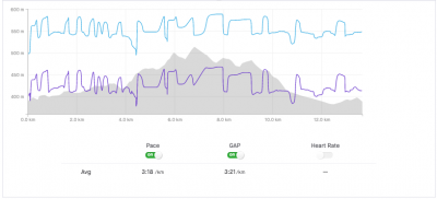 Screen Shot 2021-05-14 at 8.43.16 AM.png (40.96 KiB) Viewed 142079 times A timestamped file WITHOUT interpolation. Notice how the blue line (pace) is very erratic. I used the run-pace setting when time-stamping this file.