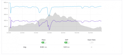 Speed profile (blue line) when using the &quot;Interpolate Points&quot; as well as &quot;Consider Elevation When Calculating Speed&quot; option.  (Run option selected).