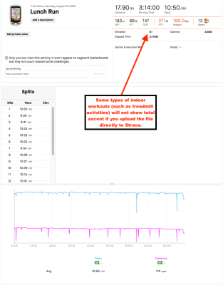 Uploading a virtual activity or treadmill activity to Strava may not show elevation / total ascent.  This is what it looks like before modification with the &quot;fake track&quot; tool.