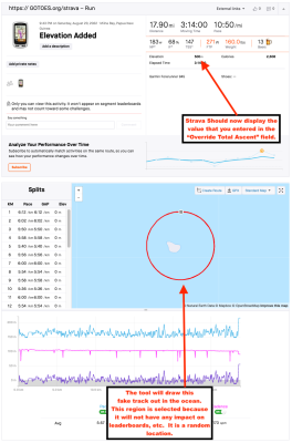 What your upload to Strava will look like after you have made the modifications above.