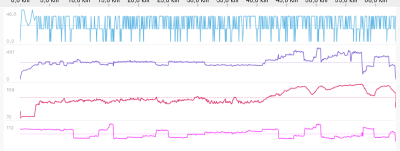 Notice the speed graph (blue) spikes up and down erratically