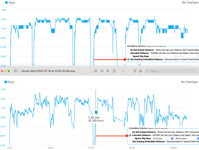 Sometimes, it is better to select &quot;Calculate Distance&quot; and have GOTOES calculate your distance - which will become the foundation for your speed calculations.  Notice the difference in these two speed/pace graphs.