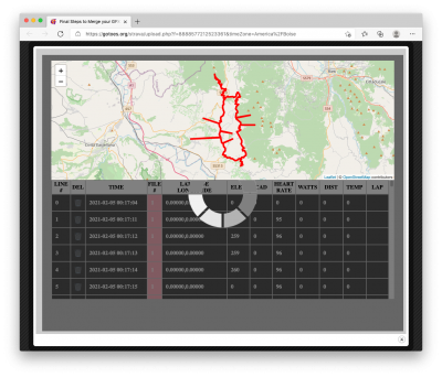 Wait for the page to finish loading so you can repair your GPS Files.