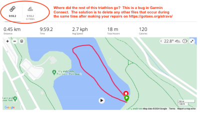 A bug in Garmin Connect where you can only see the first part of a multi-sport activity.